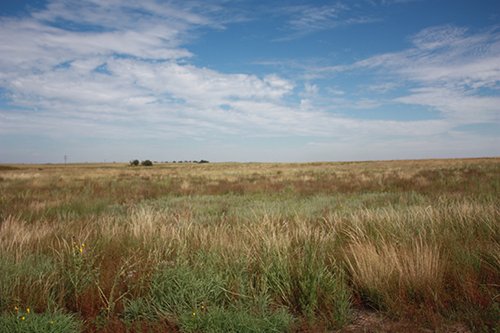 Property photo 63 - LAND AUCTION, 3255+/- Acres offered in 13 Tracts